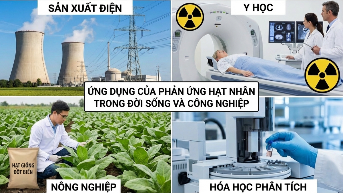 ung-dung-cua-phan-ung-hat-nhan