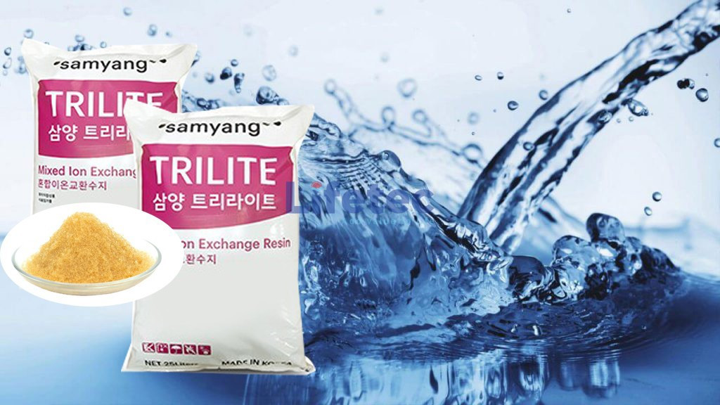 lifetec-se-dua-cac-dong-vat-lieu-tien-tien-nhu-trilite-den-gan-hon-voi-thi-truong-viet-nam