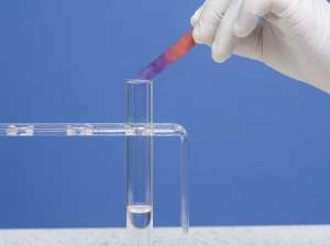 Amoniac Có Làm Đổi Màu Quỳ Tím Không? - VIETCHEM