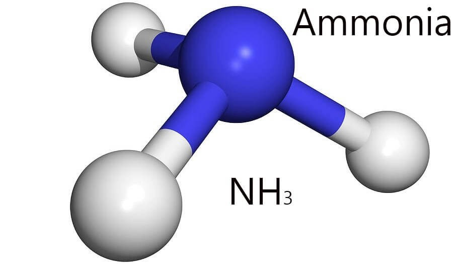 amoniac-long-nh3-1