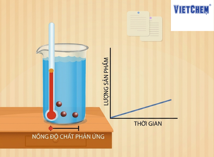 cac-yeu-to-anh-huong-den-toc-do-phan-ung