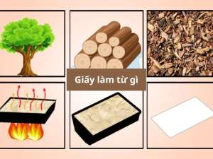 Giấy Làm Từ Gì? Quy Trình Sản Xuất Giấy Và Bột Giấy Chi Tiết