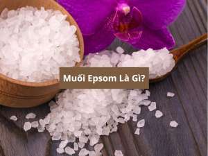 Muối Epsom Là Gì? Công Dụng, Cách Dùng & Lưu Ý Từ VietChem