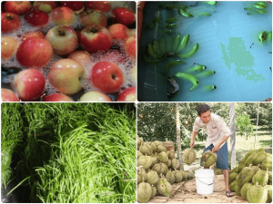 Chất bảo quản thực phẩm là gì? Phân loại, những lưu ý khi sử dụng