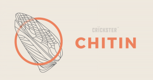 Chitin là gì? Vai trò quan trọng và những thông tin cần biết về chúng