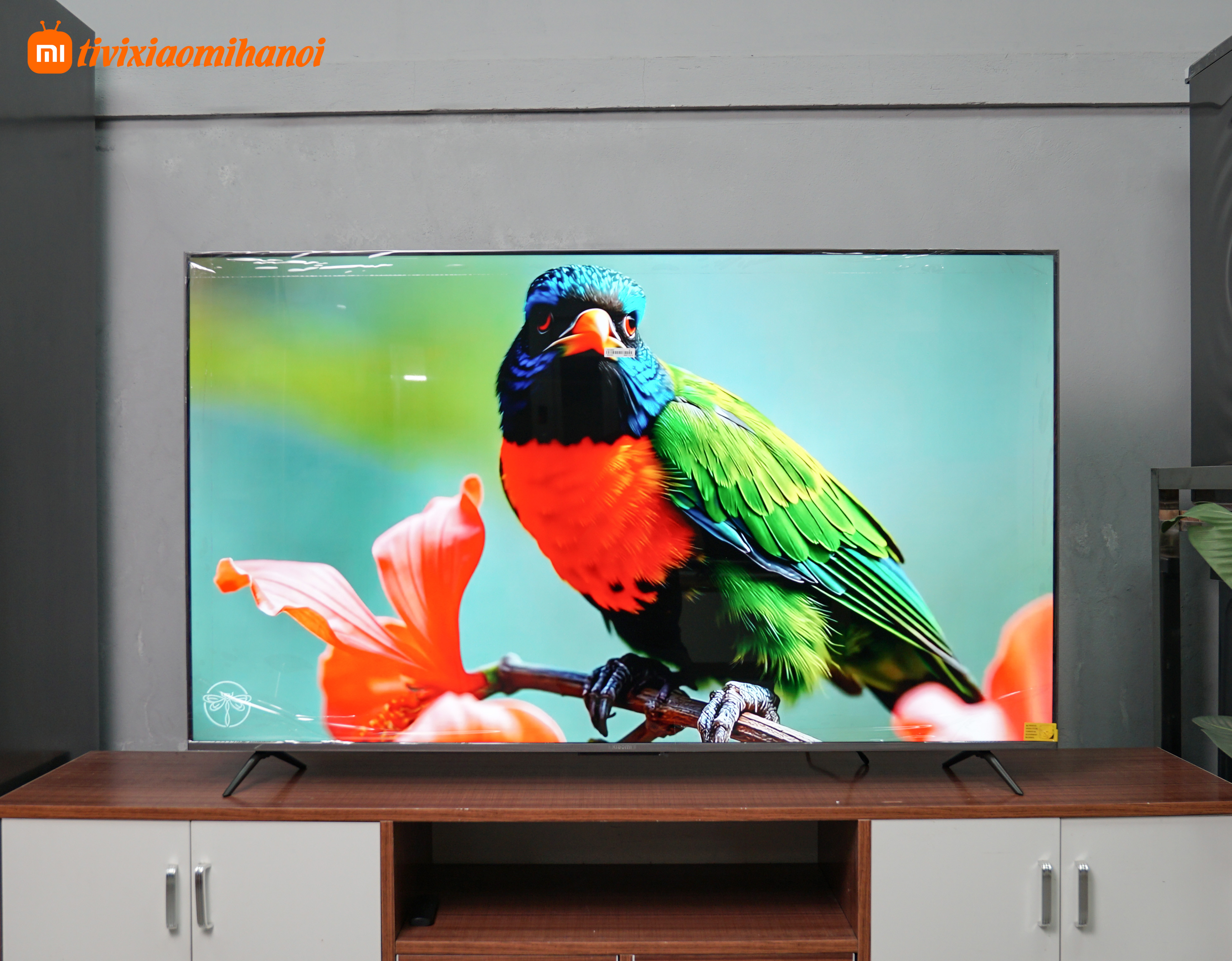 Tivi Xiaomi S Pro 65 Mini LED