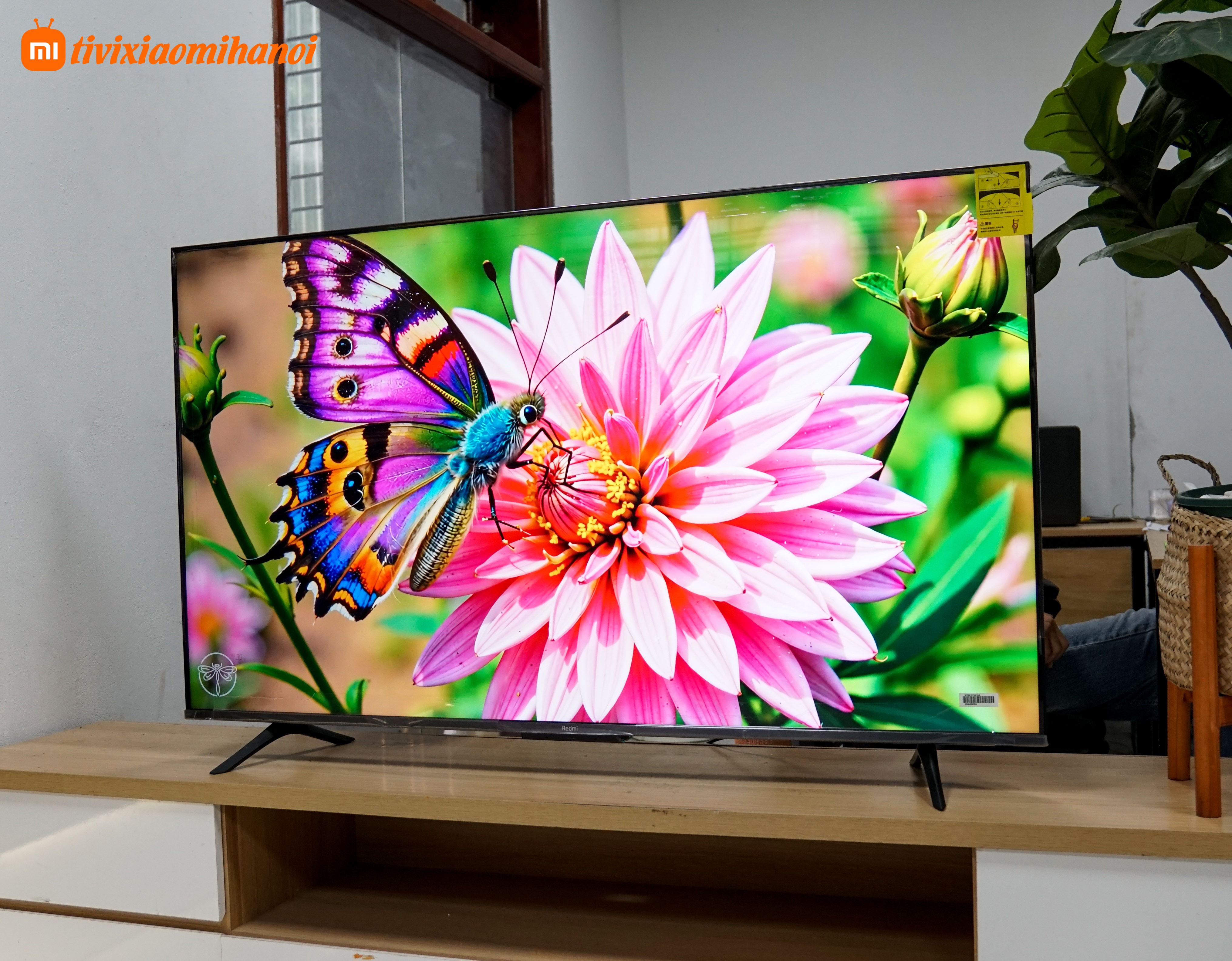 Tivi Xiaomi Redmi X 55 144Hz 2025