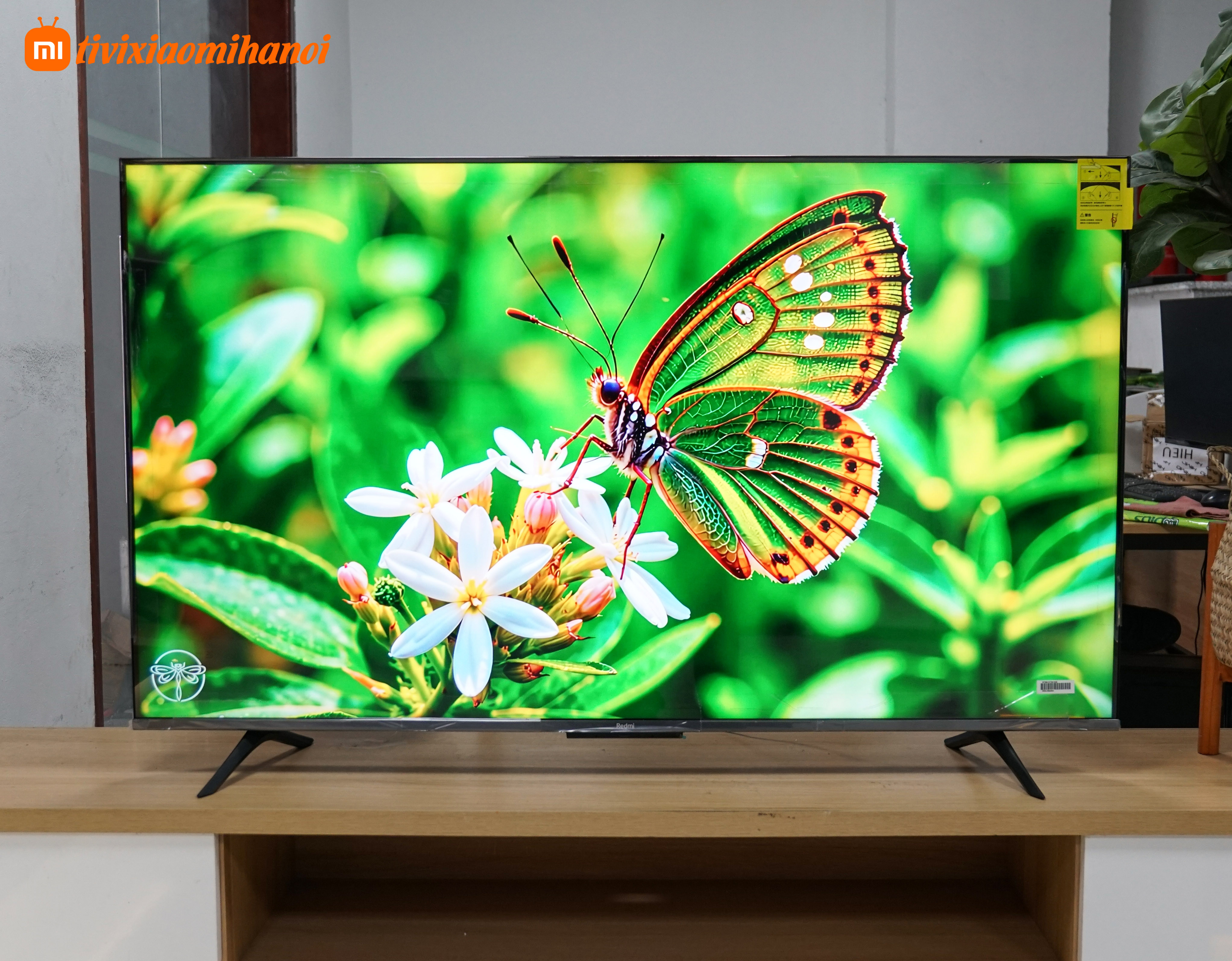 Tivi Xiaomi Redmi X 55 144Hz 2025