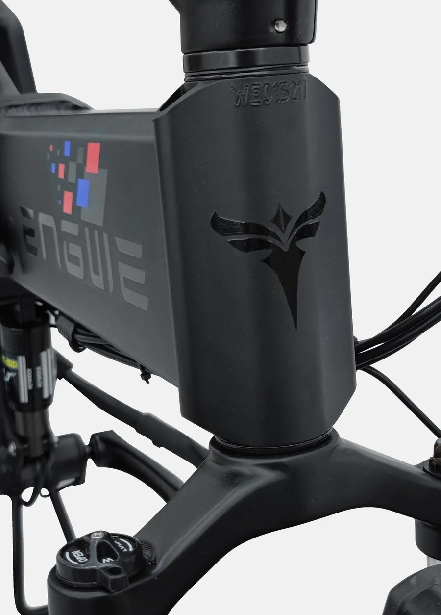 Xe Đạp Điện Trợ Lực Engwe Engine PRO