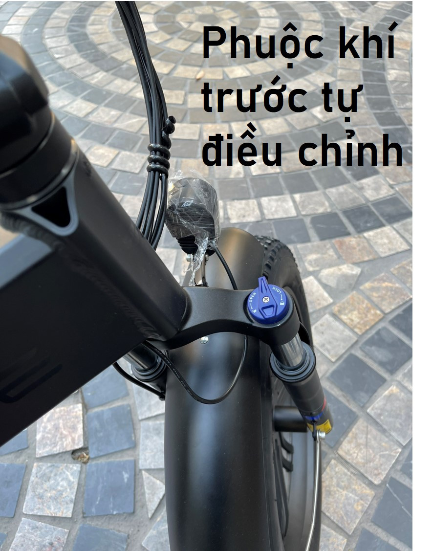 Xe Đạp Điện Trợ Lực ENGWE ENGINE - X