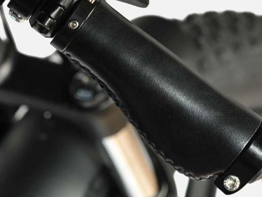 Xe Đạp Điện Trợ Lực Engwe Engine PRO