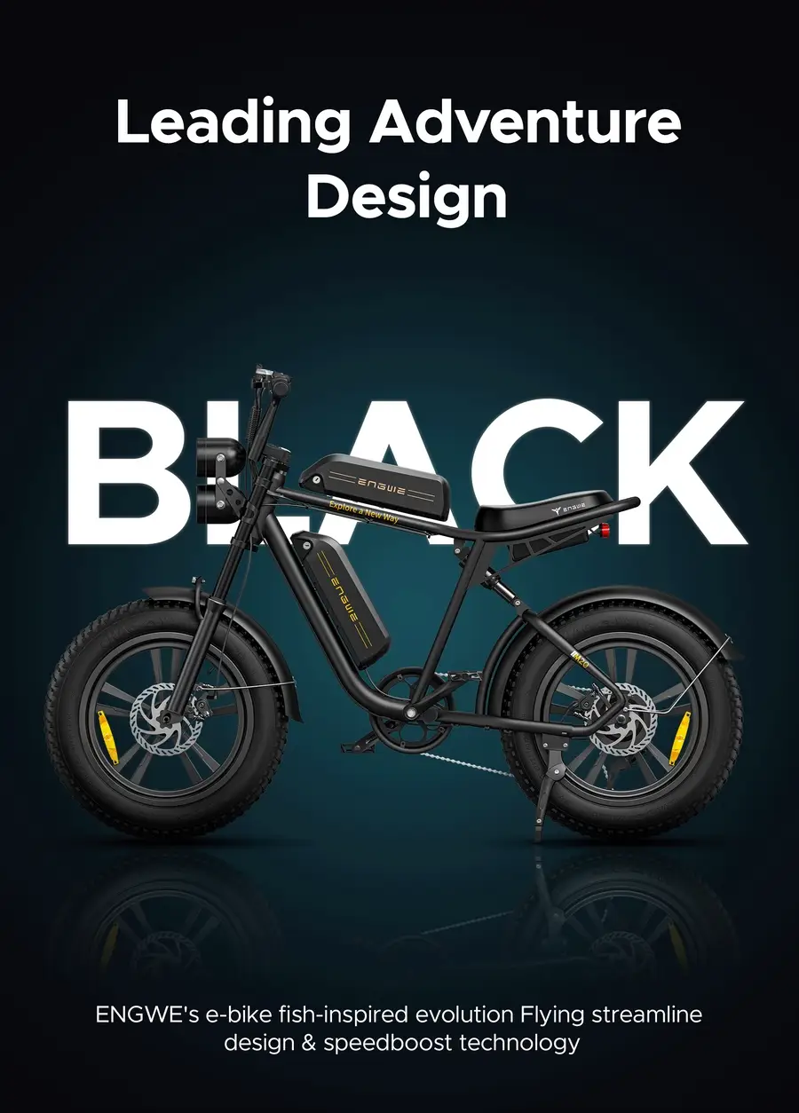 Xe Đạp Điện Trợ Lực Engwe M20