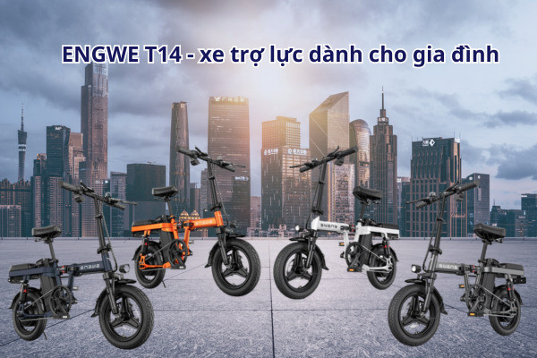 ảnh bìa t14