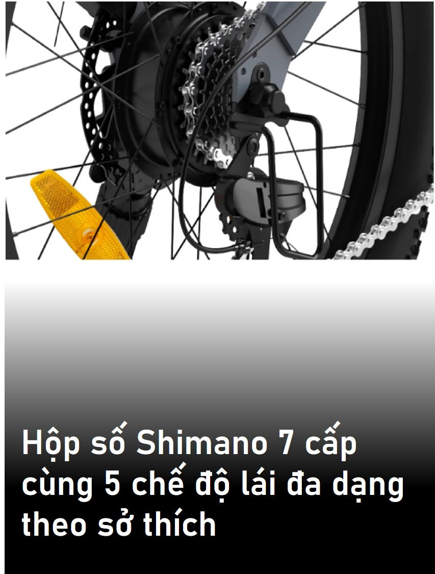 Xe Đạp Điện Trợ Lực Engwe C20 PRO 2.0 JAPAN