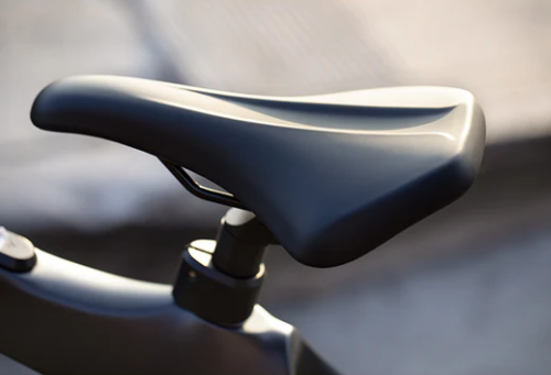 Xe Đạp Điện Trợ Lực Engwe Mapfour N1 Pro