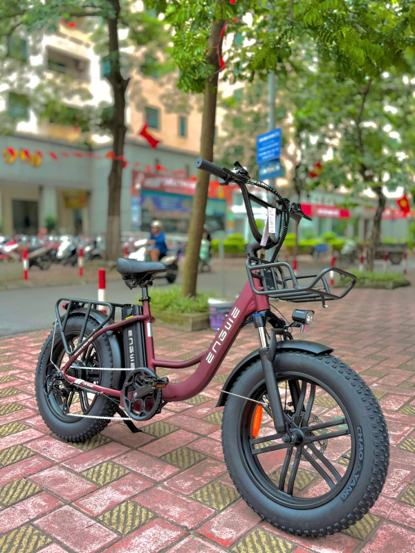 Xe Đạp Điện Trợ Lực Engwe L20 Boost