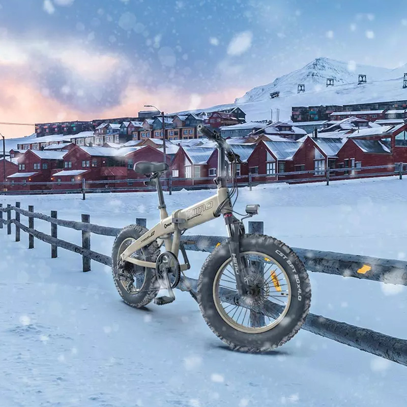 Xe Điện Trợ Lực Himo ZB20