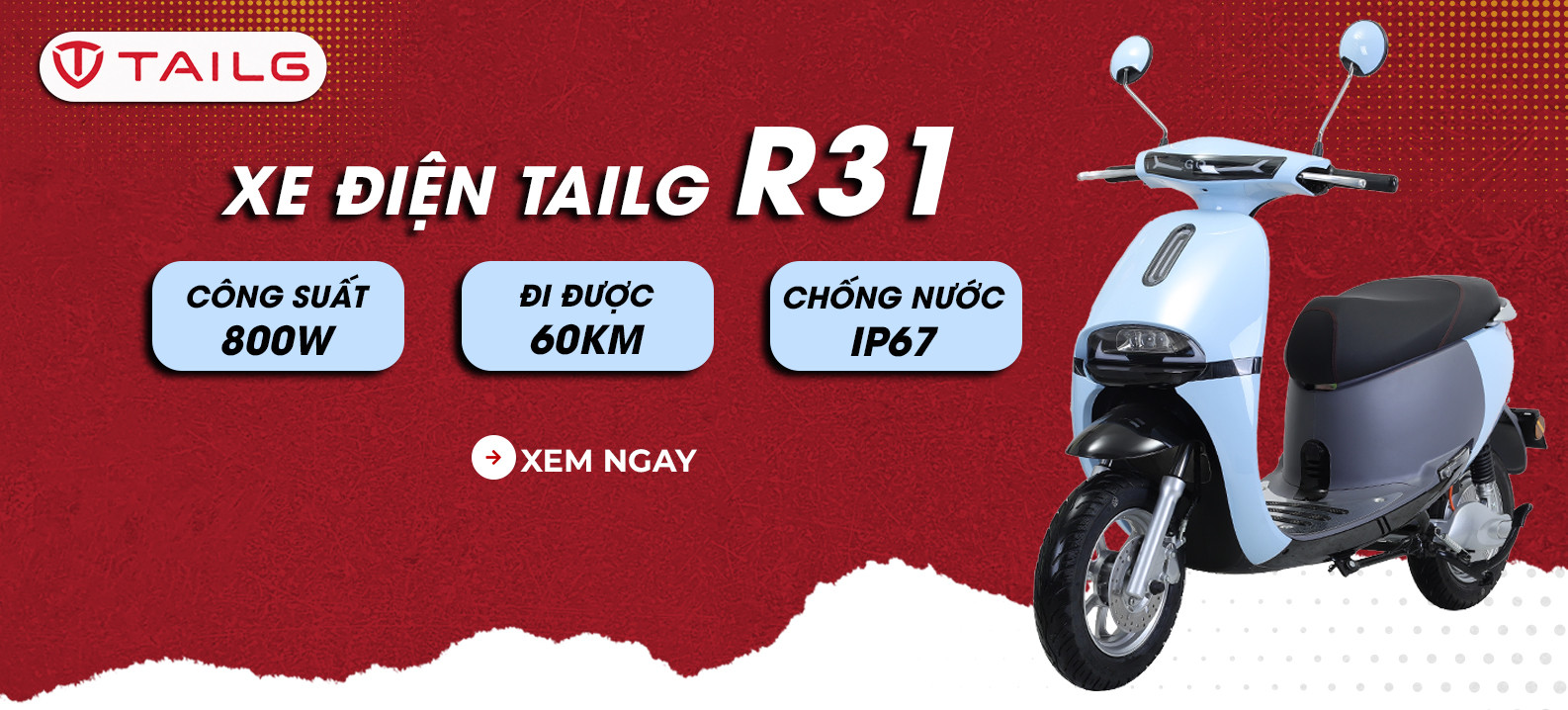 Lựa chọn hoàn hảo - TAILG R31