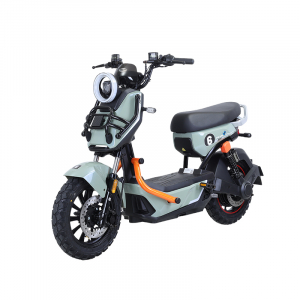 Xe Đạp Điện Tailg X51