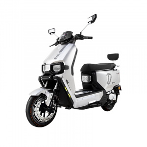 Xe Máy Điện Tailg F55
