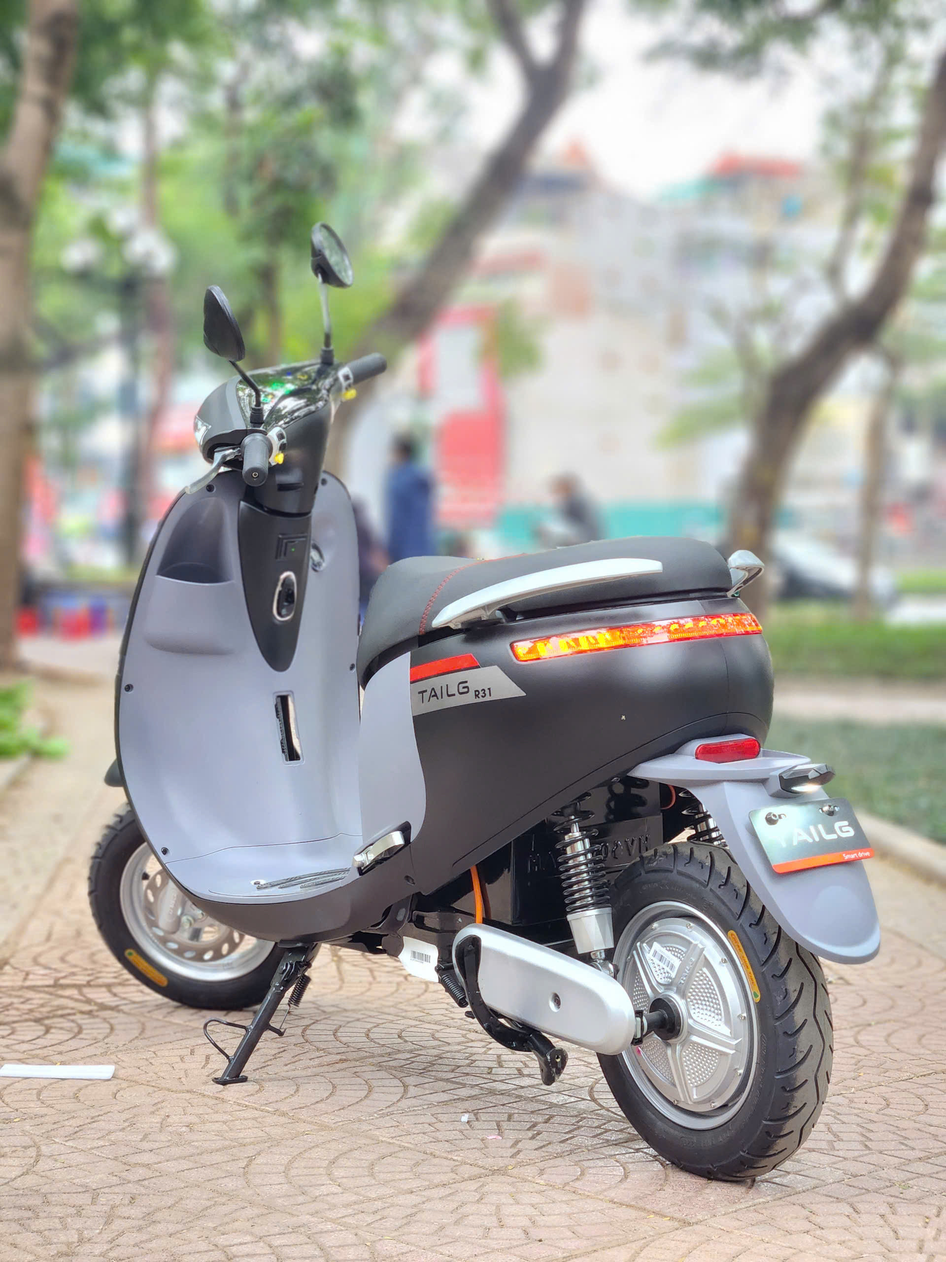 Xe điện Tailg R31