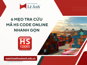 6 Mẹo Tra Cứu Mã HS Code Online Nhanh Gọn