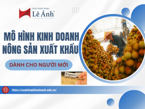 Mô Hình Kinh Doanh Nông Sản Xuất Khẩu