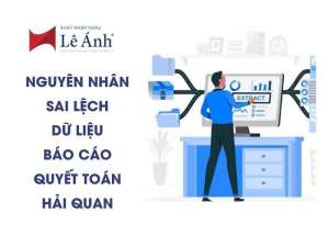 Nguyên Nhân Sai Lệch Dữ Liệu Báo Cáo Quyết Toán Hải Quan
