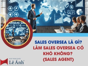 sale-oversea-la-gi.png