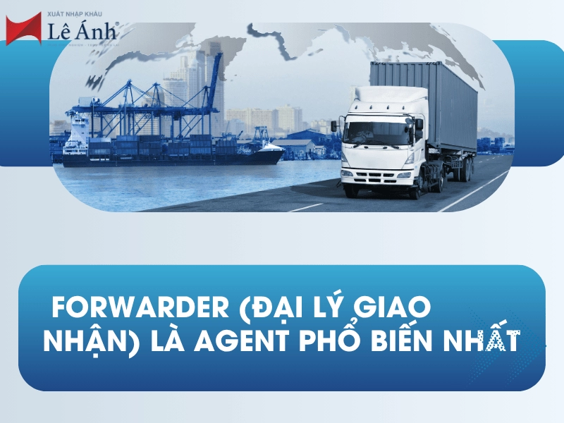 Agent Trong Xuất Nhập Khẩu Là Gì?