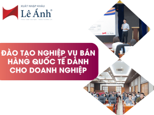 Đào Tạo Nghiệp Vụ Bán Hàng Quốc Tế Dành Cho Doanh Nghiệp