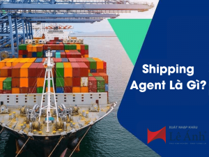 shipping agent la gi