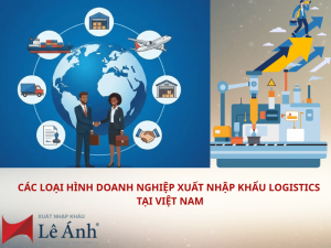 Các Loại Hình Doanh Nghiệp Xuất Nhập Khẩu Logistics Tại Việt Nam