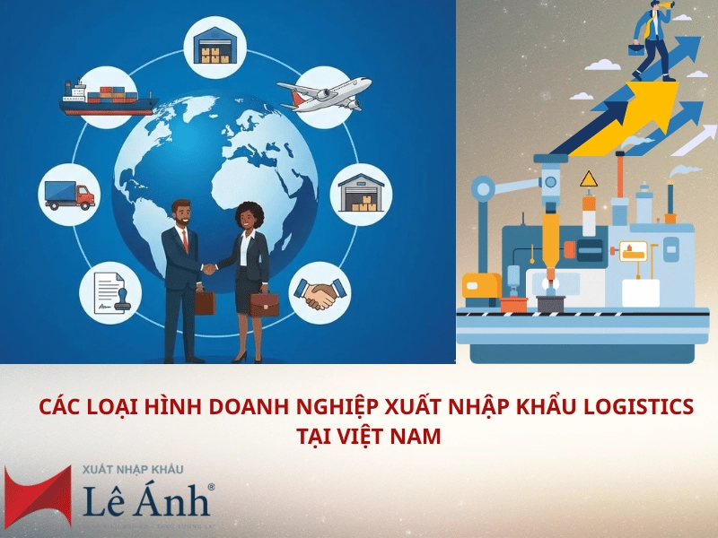 cac-loai-hinh-doanh-nghiep-xuat-nhap-khau-logistics.png