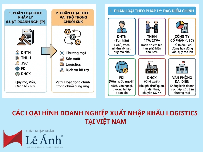 cac-loai-hinh-doanh-nghiep-xuat-nhap-khau-logistics3.png