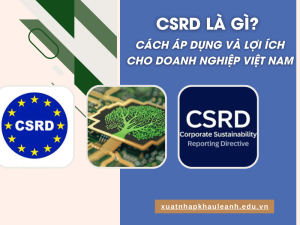 CSRD là gì?