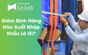 Giám Định Hàng Hóa Xuất Nhập Khẩu Là Gì?