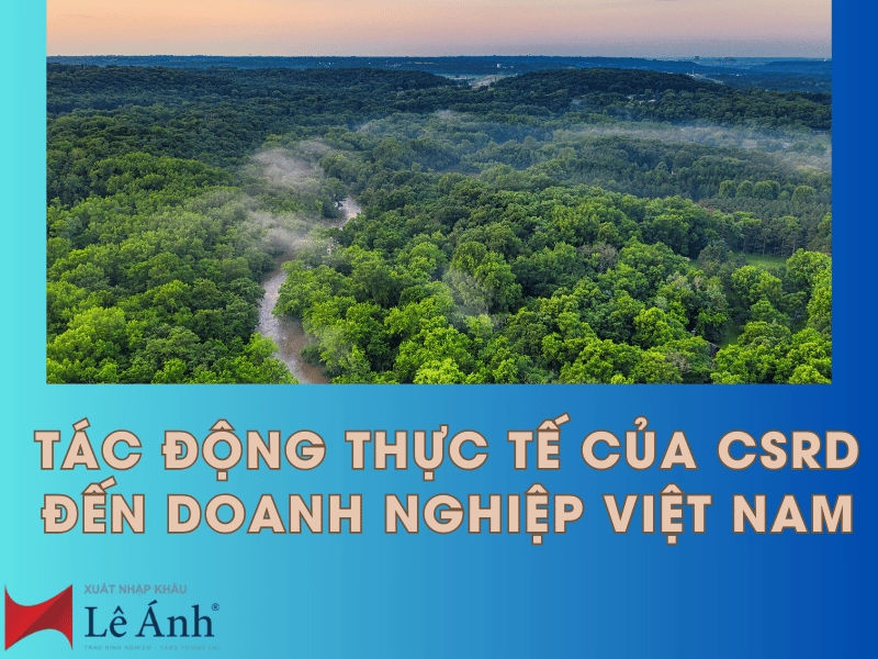 tac-dong-thuc-te-cua-csrd-den-doanh-nghiep-viet-nam.png