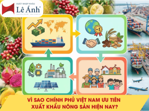 Vì Sao Chính Phủ Việt Nam Ưu Tiên Xuất Khẩu Nông Sản