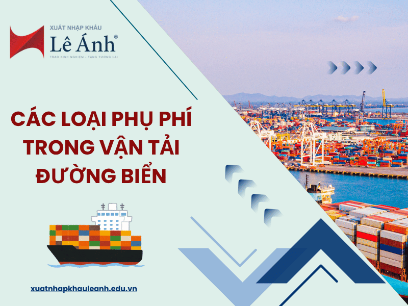 Hình ảnh đại điện