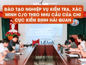 dao-tao-nghiep-vu-kiem-tra-xac-minh-co-cho-chi-cuc-kiem-dinh-hai-quan