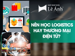 nên học Logistics hay Thương mại điện tử