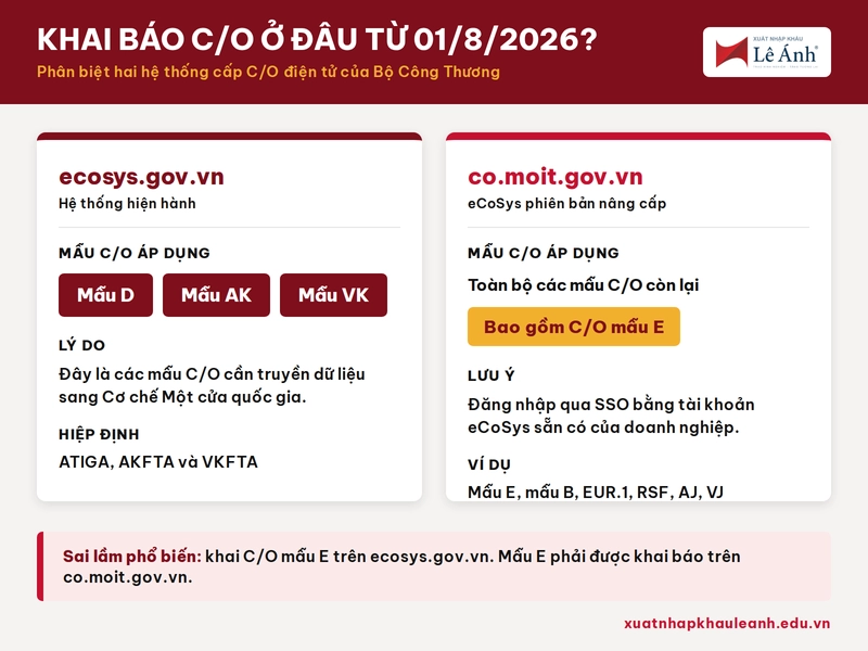 Hướng Dẫn Khai Báo C/O Từ Ngày 01/08/2026 Theo Thông Tư 26/2026/TT-BTC