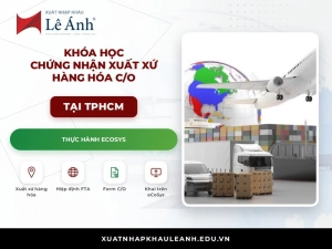 Khóa học chứng nhận xuất xứ hàng hóa C/O tại TPHCM XNK Lê Ánh