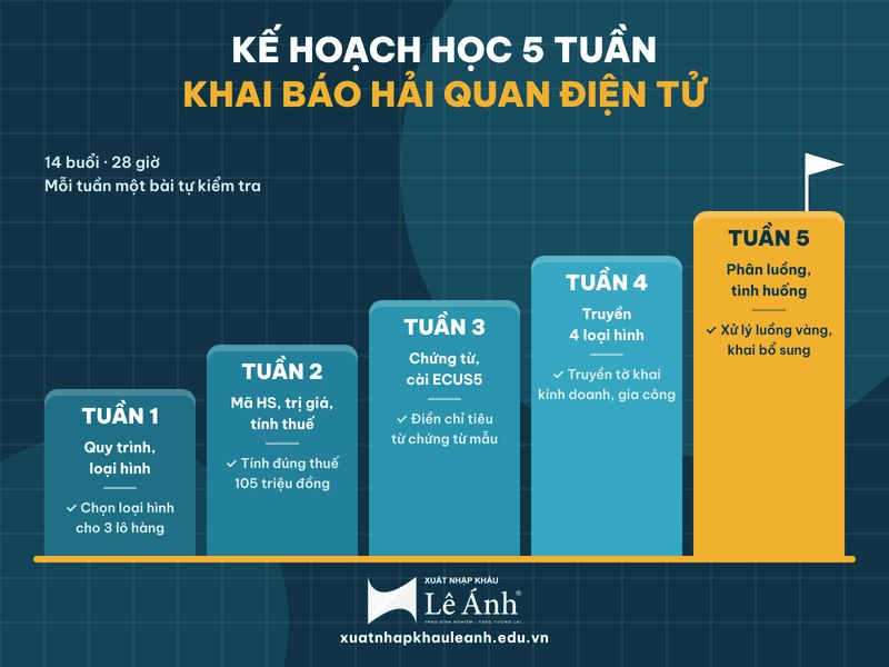 Kế hoạch học khai báo hải quan trong 5 tuần và bài tự kiểm tra cuối mỗi tuần
