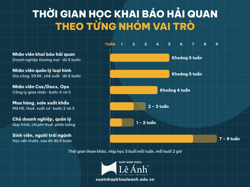 Phần cần học sâu và thời gian học khai báo hải quan theo từng nhóm vai trò