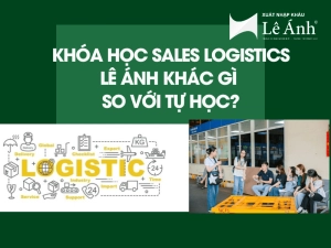Khóa học sales logistics lê ánh khác gì so với tự học