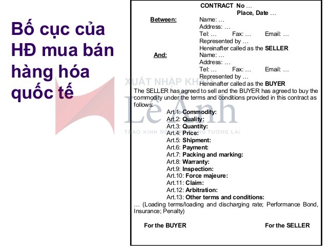 bo-cuc-hop-dong-xuat-nhap-khau