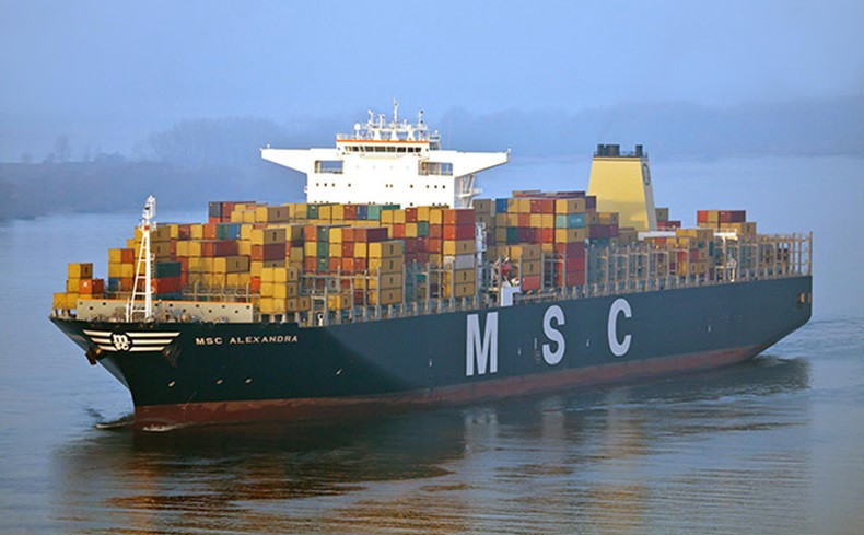 hãng tàu MSC