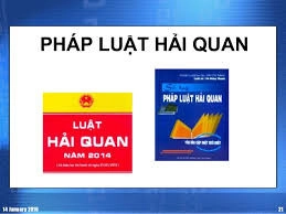 he-thong-van-ban-quy-pham-hai-quan-viet-nam